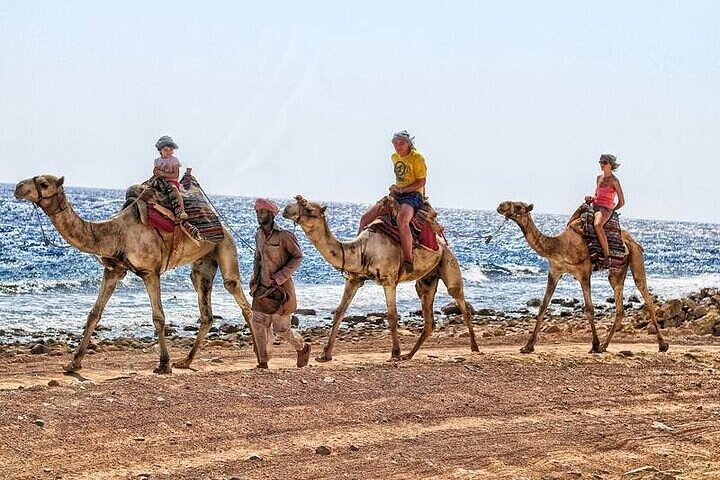 Sightseeing Tour To Dahab From Sharm El Sheikh - Image 1