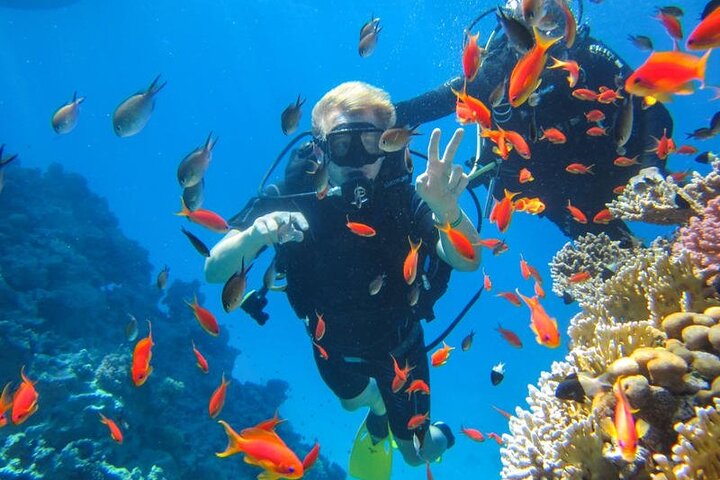 Snorkeling at Ras Mohamed in Sharm El Sheikh  - Image 4