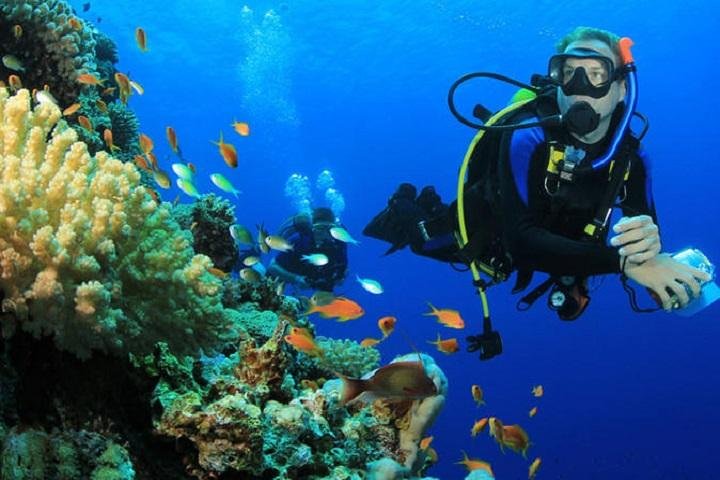 Snorkeling Boat Trip from Sharm El Sheikh  - Image 2