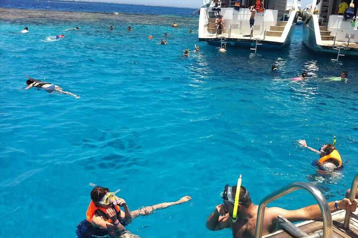Snorkeling on Ras Mohamed and White Island in Sharm El Sheikh - Image 2