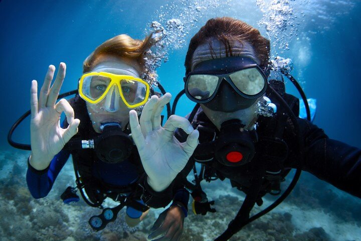 Snorkeling on Ras Mohamed and White Island in Sharm El Sheikh - Image 5