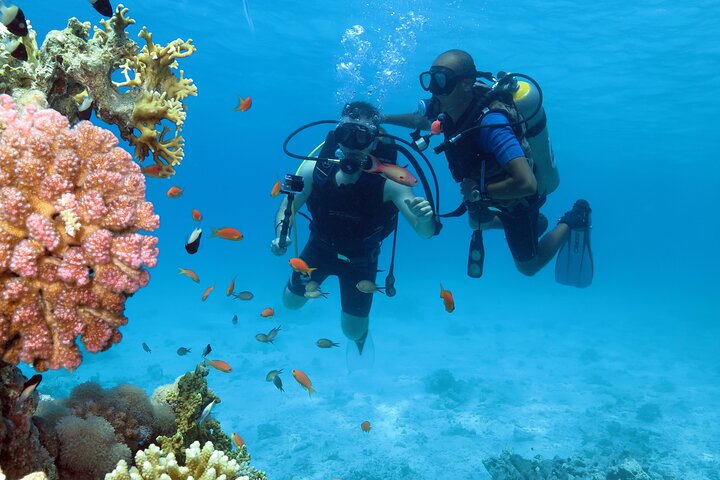 Snorkeling Trip White Island and Ras Mohamed by Boat with Lunch - Image 5