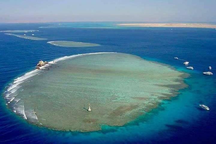 White Island & Ras Mohamed National Park Snorkeling Boat Trip - Image 4