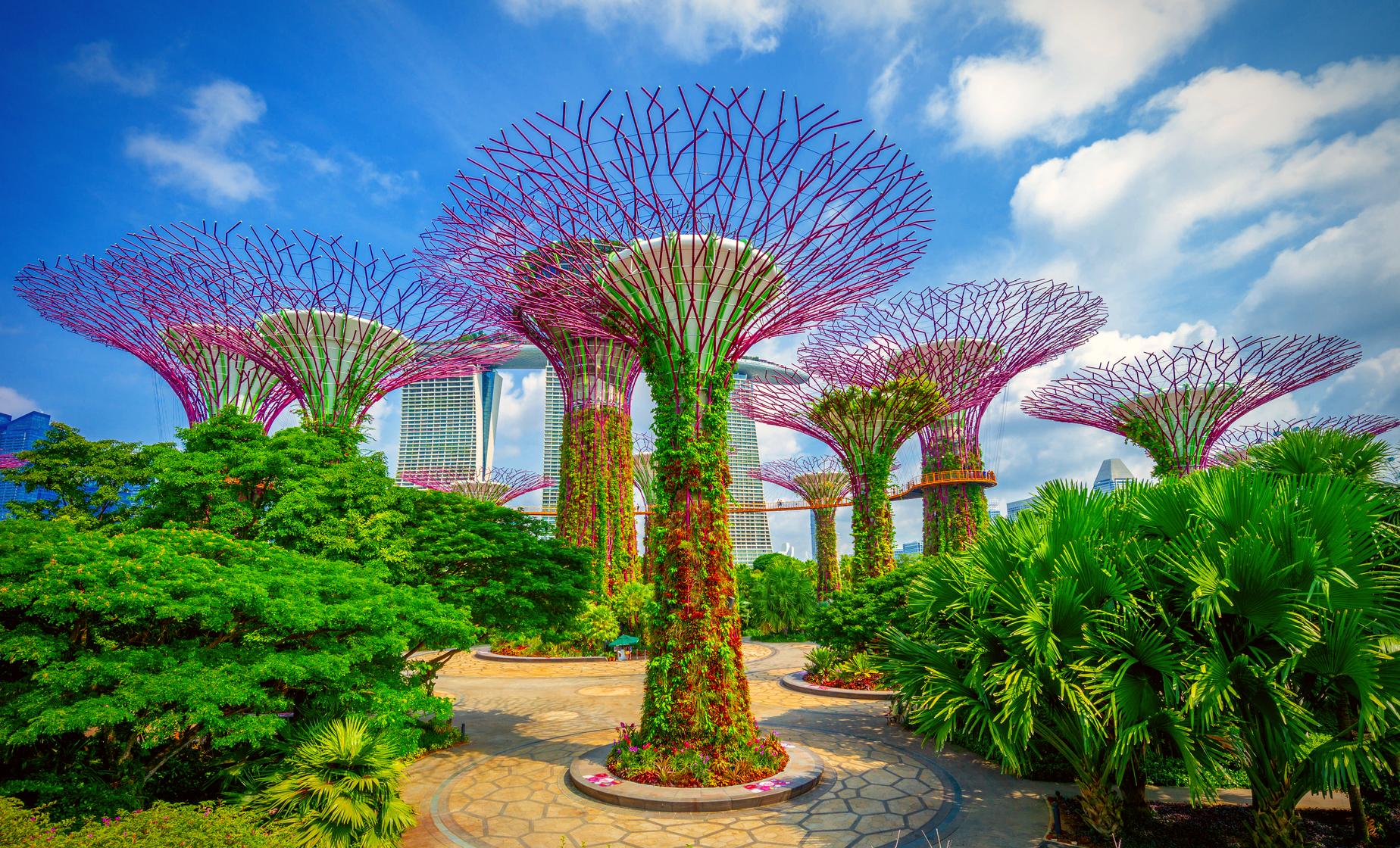 Exploring the Gardens by the Bay On Your Own - Image 1
