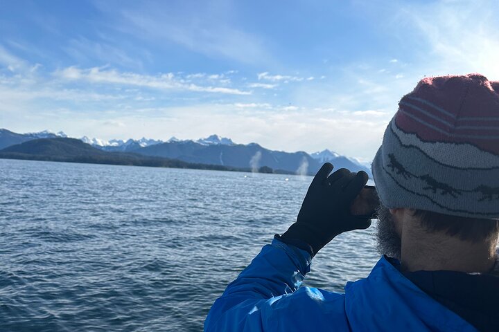 2-Hour Private Wildlife Tour in Sitka - Image 3