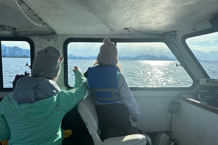 2-Hour Private Wildlife Tour in Sitka - Image 4