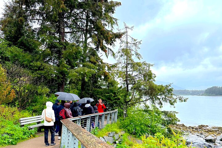 Guided Walking Tour in Totem Park | NATIONAL PARK - Image 5