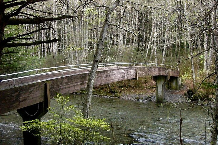 Guided Walking Tour in Totem Park | NATIONAL PARK - Image 4