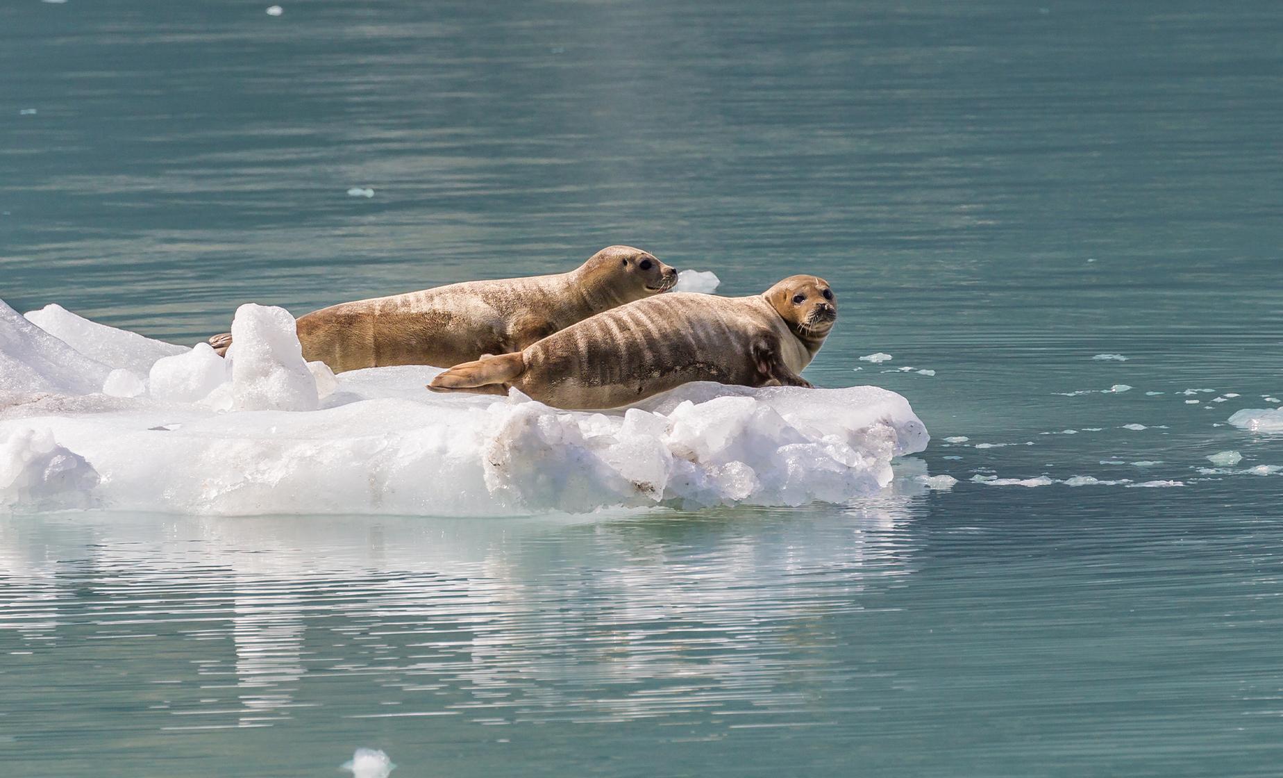 Private Marine Adventure - Image 1