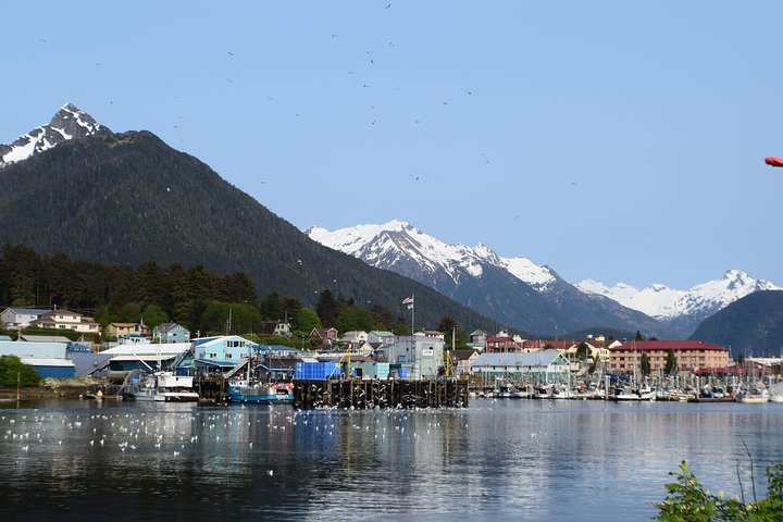 Private Taxi Tour  - Image 4