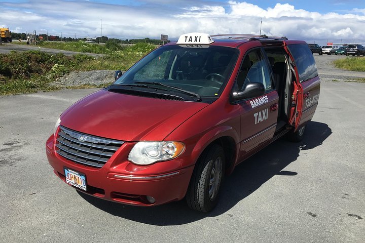 Private Taxi Tour  - Image 1
