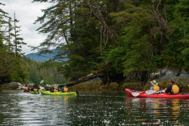 Sitka Shore Excursion: Sitka Harbor & Islands Guided Kayaking - Image 2