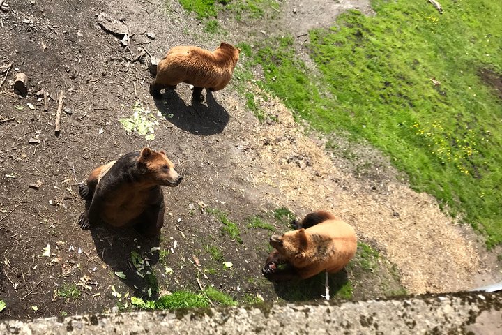 Sitka's only Private Simply Amazing Tour - Image 3