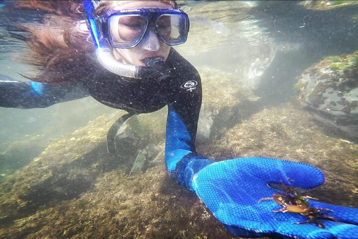 Snorkel Tour at Magic Island  - Image 2