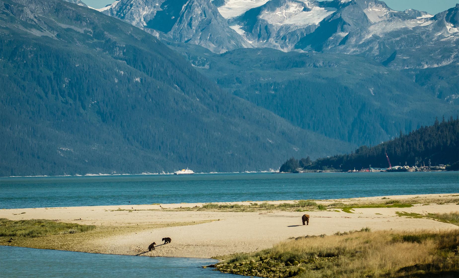 Chilkoot Wilderness and Wildlife Viewing Tour from Skagway - Image 1