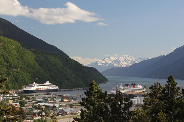 City and Mountain Summit Shore Excursion in Skagway - Image 1