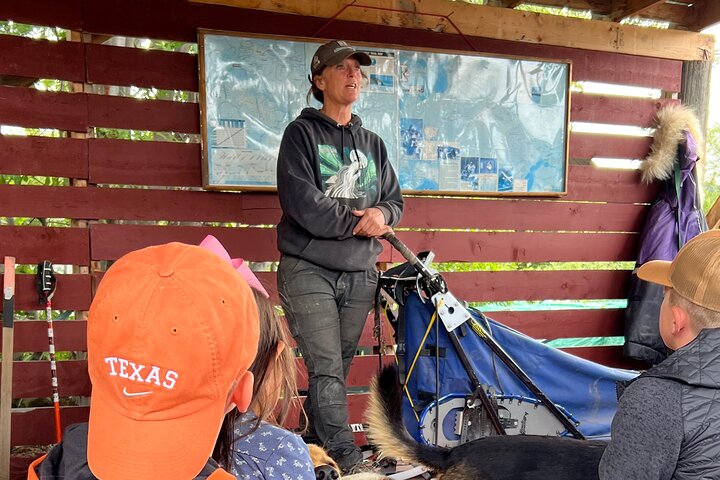 Exclusive Yukon Full-Day Tour with Dog Mushing Adventure  - Image 4
