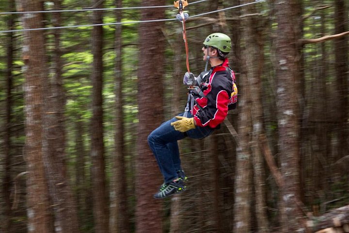 Grizzly Falls Ziplining Expedition - Image 4