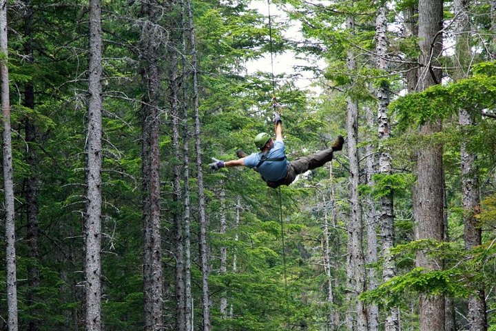 Grizzly Falls Ziplining Expedition - Image 5