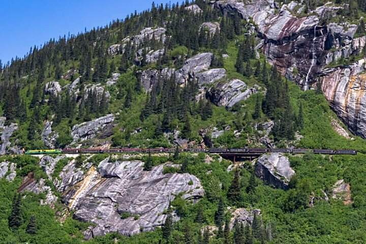 Half-Day Skagway City Tour and White Pass Summit Adventure - Image 1