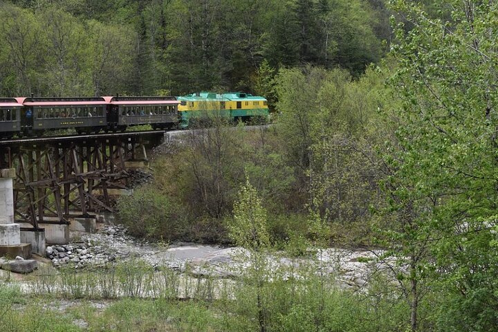 Half-Day Skagway City Tour and White Pass Summit Adventure - Image 5
