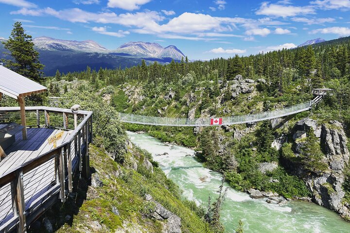 Half Day Tour to Yukon and Suspension Bridge - Image 1