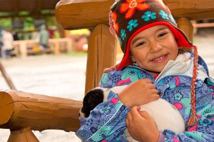Musher's Camp and S'more Roasting Experience - Image 2