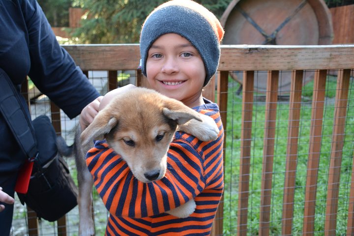Musher's Camp and S'more Roasting Experience - Image 5
