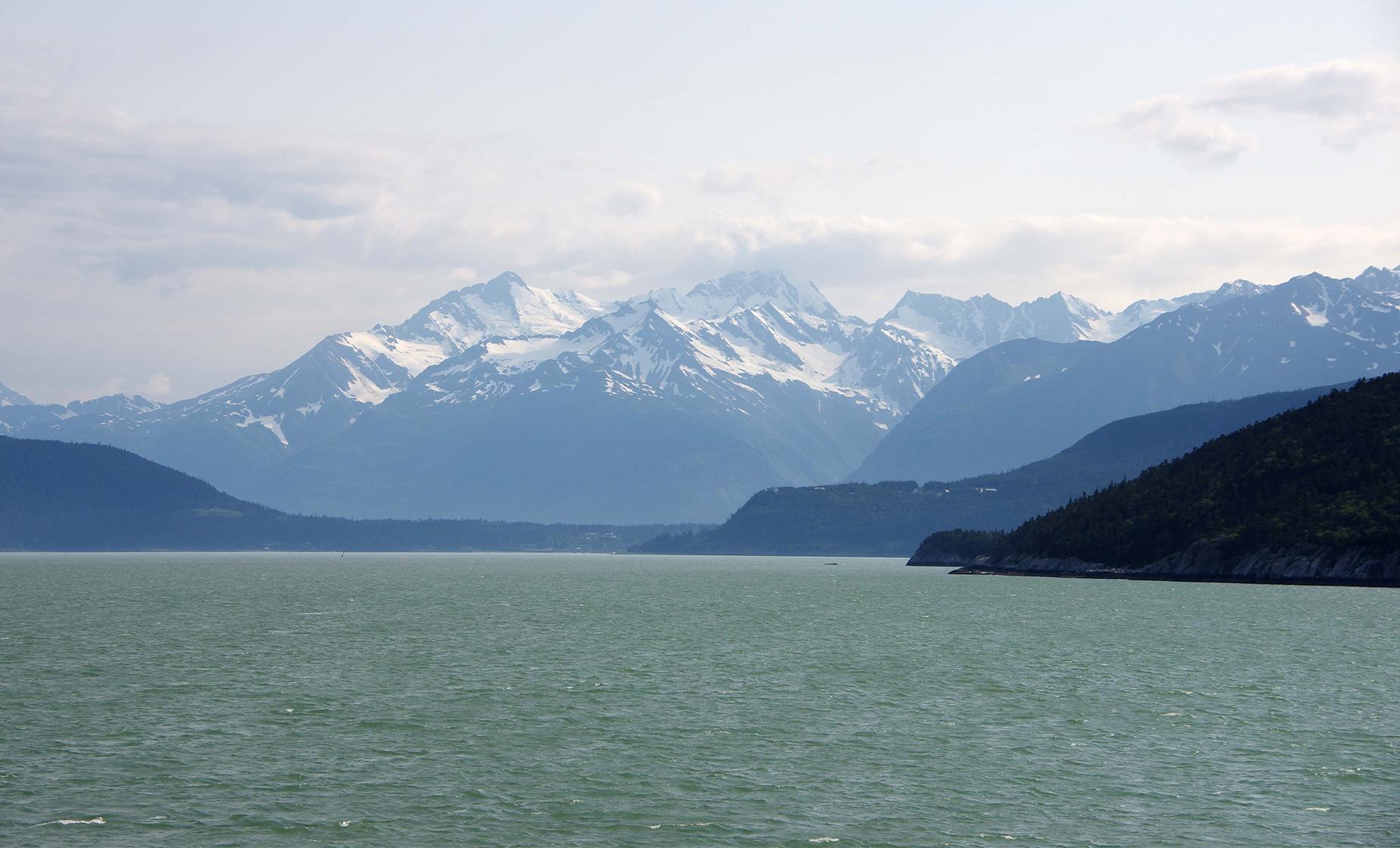 Private Chilkoot Lake Nature and Wildlife Viewing - Image 1