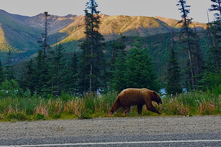 Private luxury shore excursion Skagway, AK to Emerald Lake, Yukon.  - Image 4