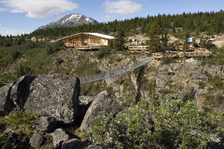 Private Sightseeing Excursion in Skagway with Pick-up - Image 3
