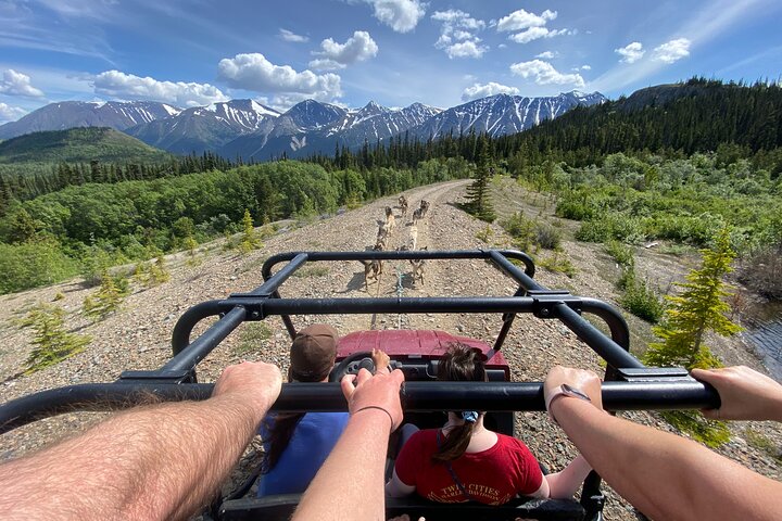Private Sightseeing Excursion in Skagway with Pick-up - Image 2