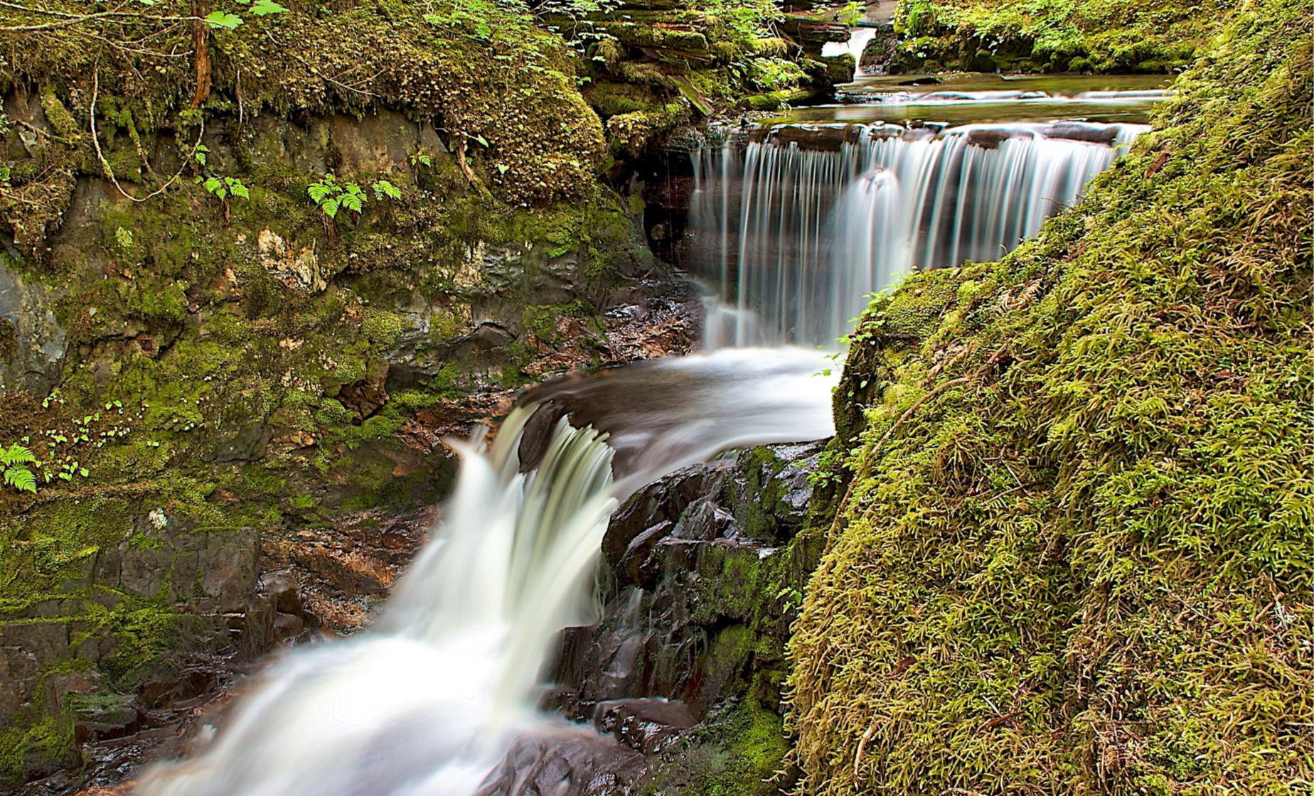 Scenic Waterfall Adventure - Image 1