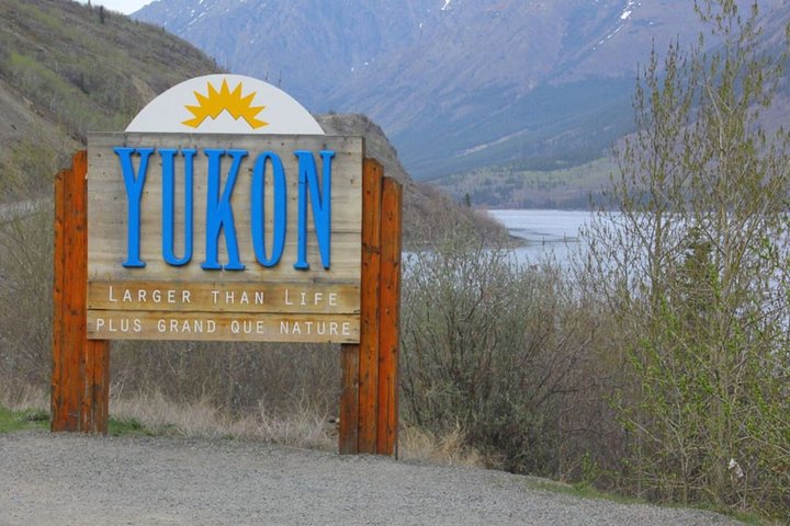 Skagway Shore Excursion: Yukon Dog Sledding and Sightseeing Tour - Image 5