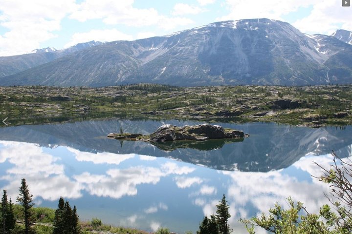 Skagway Shore Excursion: Yukon Dog Sledding and Sightseeing Tour - Image 3