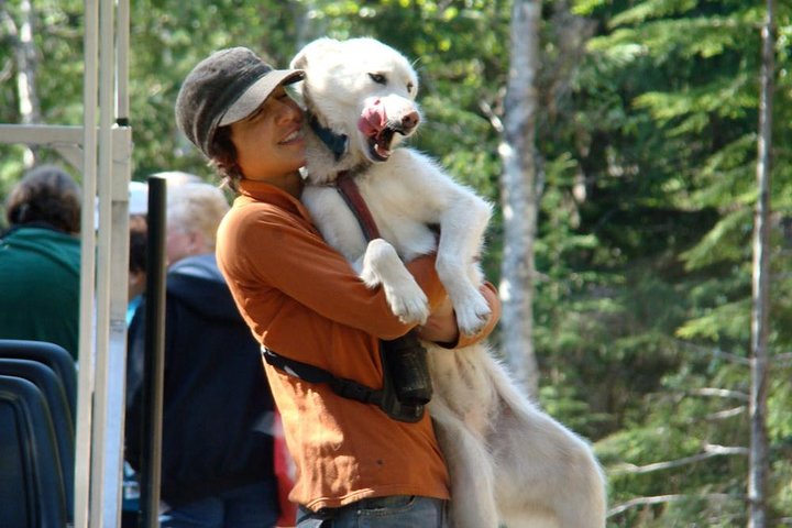 Sled Dog Discovery in Skagway - Image 3