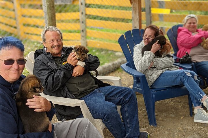 Summer Sled Dog Remote Yukon Camp & Summit Tour - Image 2
