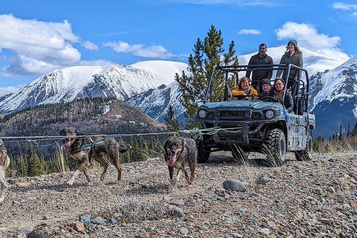 Summer Sled Dog Remote Yukon Camp & Summit Tour - Image 1