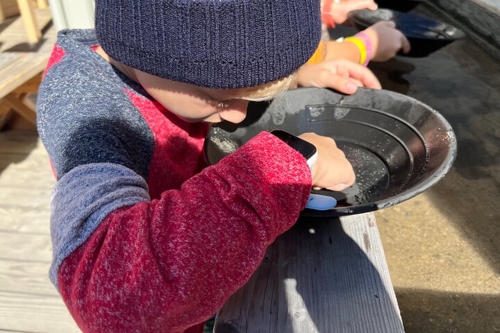 White Pass Deluxe Tour from Skagway - Image 5