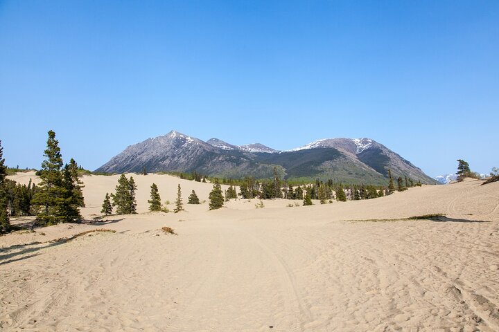 Yukon Escapade: Lakes, Wilderness, and Hidden Gems - Image 2