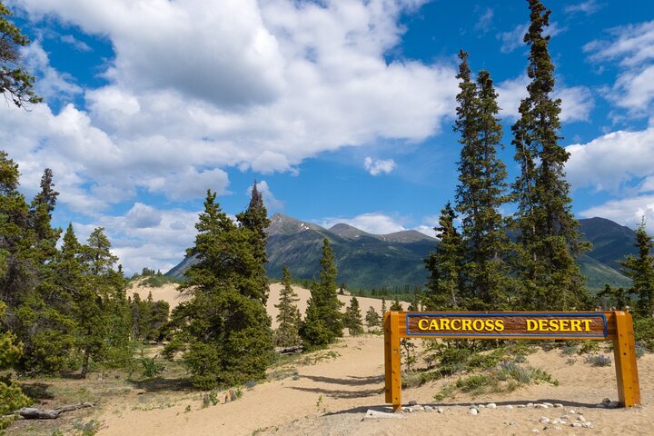 Yukon Escapade: Lakes, Wilderness, and Hidden Gems - Image 3