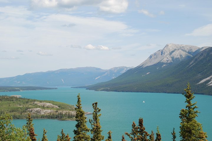 Yukon Extended Summit Drive Tour (From Skagway) - Image 3