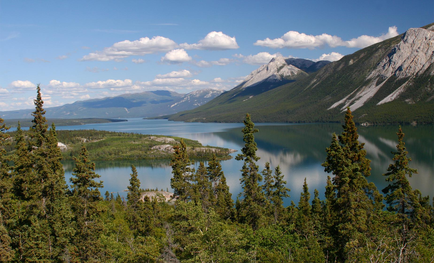 Yukon Klondike Adventure by Bus with Puppy Camp - Image 1