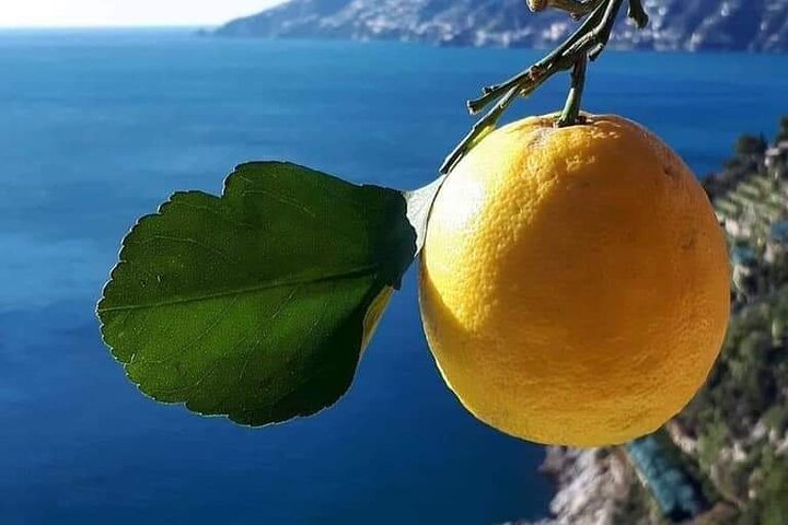 Amalfi Coast Private Excursion from Sorrento / Naples - Image 2