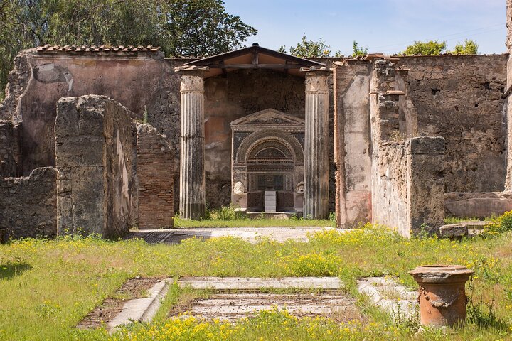 Capri and Blue Grotto, Sorrento and Pompeii Private Tour from Naples - Image 1