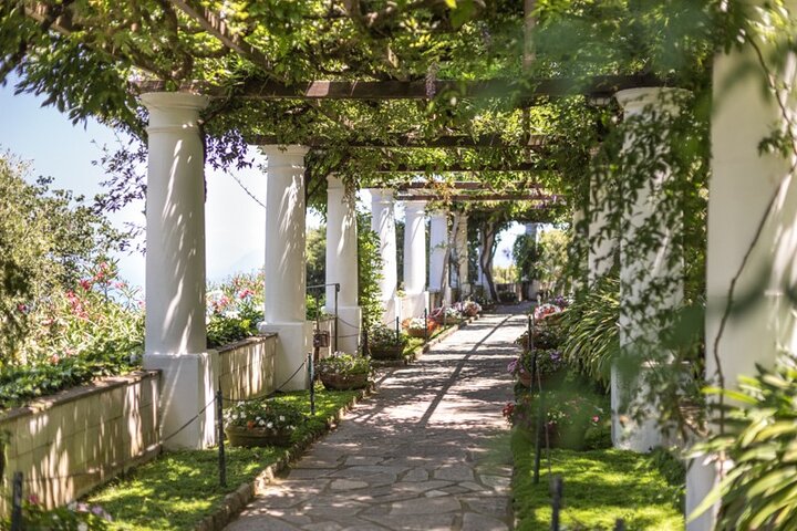 Capri Deluxe Private tour from Sorrento - Image 3