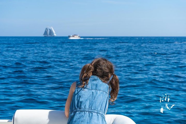 Capri excursion shared from Sorrento - Image 5