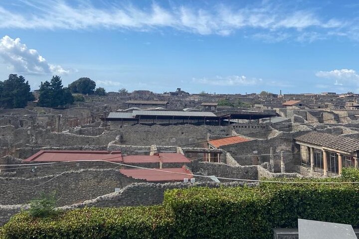 Exclusive Half-Day Tour in Pompeii with skip the line tickets - Image 3