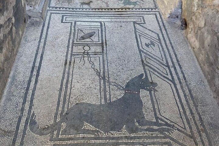 Exclusive Half-Day Tour in Pompeii with skip the line tickets - Image 4
