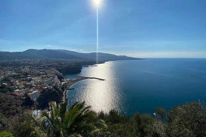 Exclusive tour in Sorrento and Pompeii with transport and tickets - Image 2